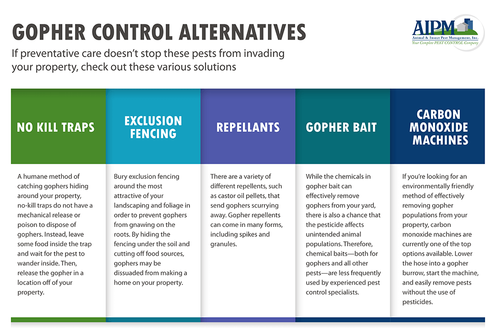Graphic showing alternatives for gopher control